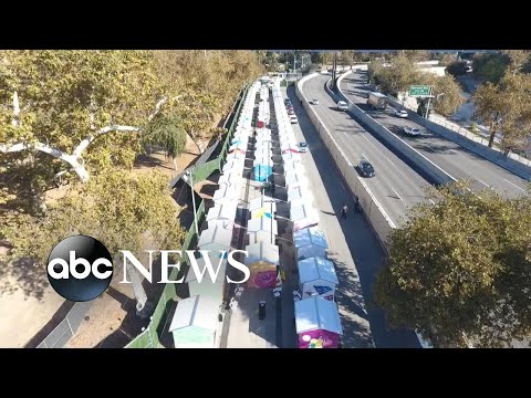 You are currently viewing Tiny home villages pop up for LA’s homeless: ‘They saved my life’