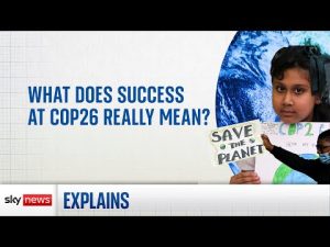 Read more about the article What does success at COP26 actually mean?