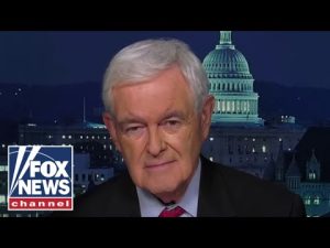 Read more about the article Newt Gingrich: The totalitarian left is playing with fire