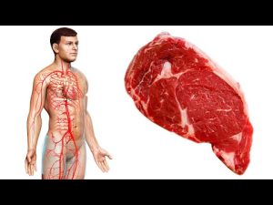 Read more about the article What Eating Too Much Meat Can Do To Your Body