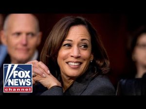 Read more about the article McEnany torches Kamala Harris: She’s vacationing while the world crumbles