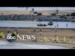 Read more about the article Criminal investigation opened into California oil spill