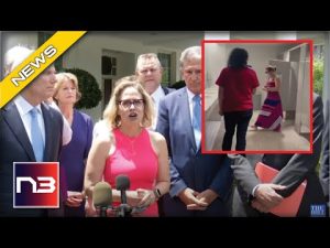 Read more about the article Uh Oh: Sinema TEARS APART Radical Democrat Activists After Their Campaign Stunt To Her