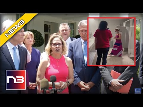 You are currently viewing Uh Oh: Sinema TEARS APART Radical Democrat Activists After Their Campaign Stunt To Her
