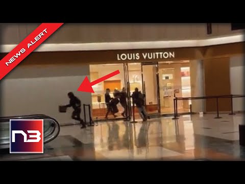 Read more about the article Biden’s America: A Dozen Thieves Loot Louis Vuitton Store In Alarming Video