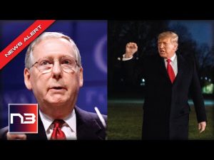 Read more about the article Mitch McConnell Seems To Fold To Biden, Trump Quickly Drops The Hammer On Him