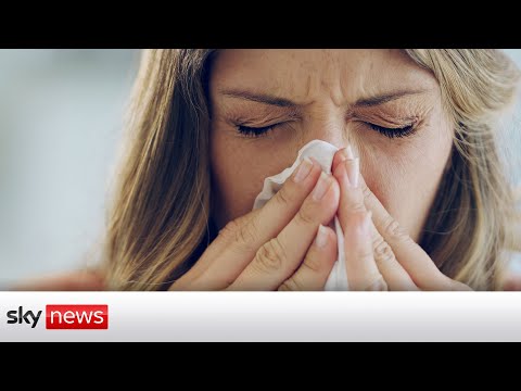 Read more about the article COVID-19: Flu deaths ‘could hit 60,000’ this winter