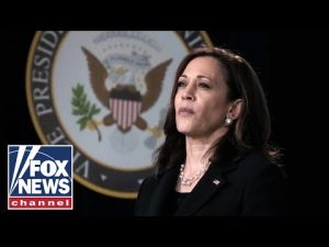 Read more about the article Newt Gingrich blasts Kamala Harris: She’s an ‘absurdity’