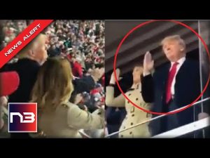 Read more about the article Trump Spotted At MLB Game Doing Something With His Hands That Drives Liberals Insane