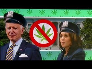 Read more about the article Will legislation for marijuana legalization ever make it to Biden’s desk?