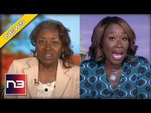 Read more about the article Joy Reid Says Republicans Won Because Of Racism, Winsome Sears Sets Her Straight