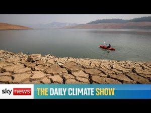 Read more about the article Watch live: World heading for 2.4C warming despite pledges