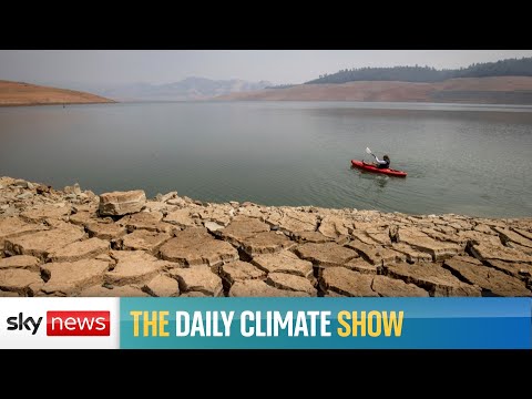 You are currently viewing Watch live: World heading for 2.4C warming despite pledges