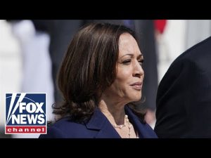 Read more about the article Hegseth rips Harris for prioritizing European migrant crisis: VP ‘refuses’ to lead