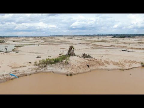 You are currently viewing Killing the Amazon: How the rainforest is faring under deforestation