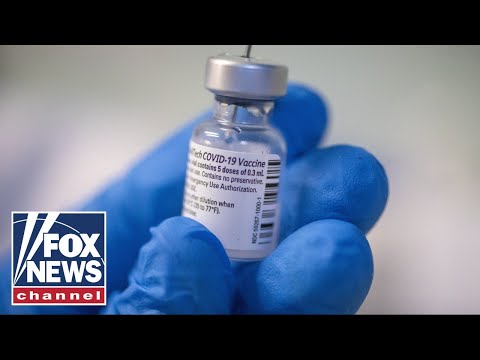 You are currently viewing ‘The Five’ knock impact of vaccine mandates causing travel chaos