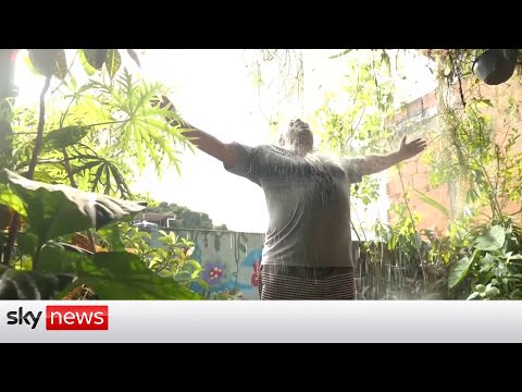 You are currently viewing Brazil: Rio de Janeiro man turns his favela into a ‘green house’