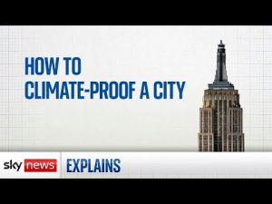 Read more about the article Four ways to climate-proof a city