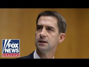 Read more about the article Tom Cotton rips Biden over Kyle Rittenhouse remark: The left does this all the time