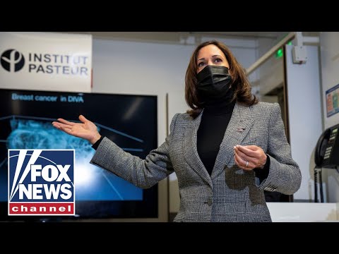 You are currently viewing Kamala Harris blasted for ‘weird’ attempt at French accent