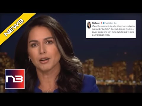 Read more about the article Tulsi Gabbard Outs Democrats to Tucker: Says They Racialized The Entire Country For One Reason