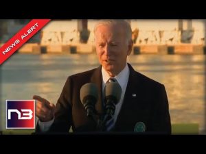 Read more about the article Biden Admits Cold Hard Truth About Gas Prices, Then Breaks Into Odd Story About McDonalds