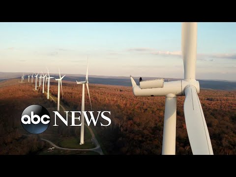 You are currently viewing ‘It’s Not Too Late’: Harnessing the power of wind energy