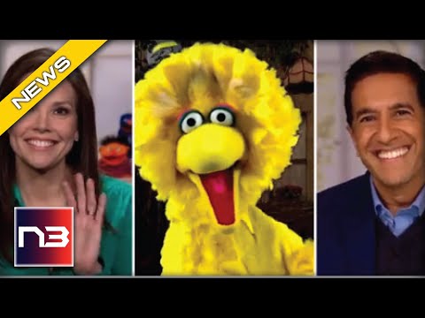 Read more about the article Yikes! Ted Cruz Slams Big Bird For Promoting Biden Admin Mandate