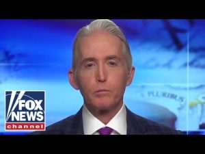 Read more about the article Trey Gowdy: The liberal media never focuses on this