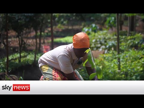 You are currently viewing Planting trees? There’s an app for that