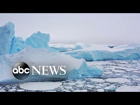 You are currently viewing Under the ice in Antarctica