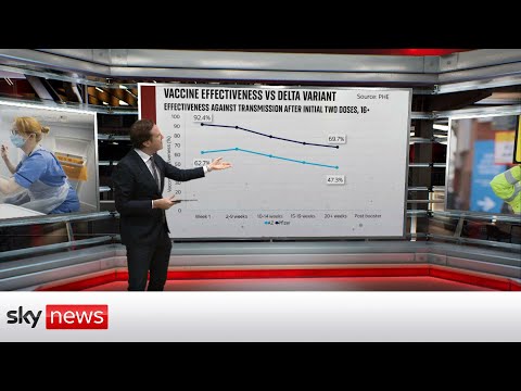 Read more about the article The Data Dive: The data behind vaccine effectiveness