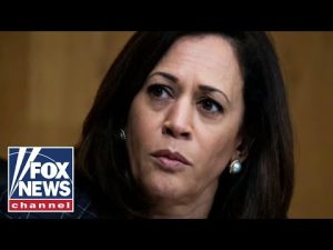 Read more about the article Joe Concha torches Kamala Harris: ‘Her own party doesn’t like her’