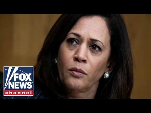 Read more about the article Joe Concha torches Kamala Harris: ‘Her own party doesn’t like her’