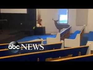 Read more about the article Michigan church pastors surprised by deer’s morning visit