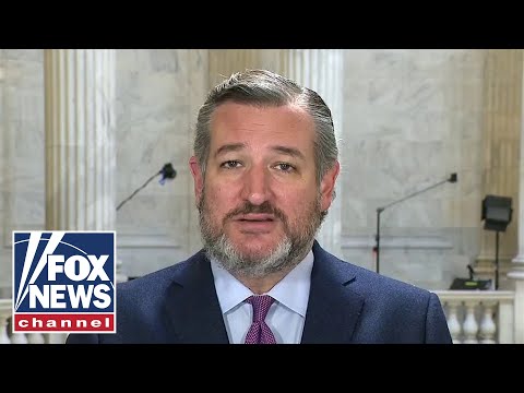 You are currently viewing Ted Cruz makes major predictions on Virginia race, midterms