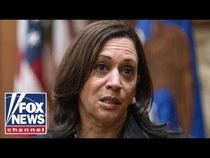 Read more about the article Kayleigh McEnany blasts Kamala Harris’ ‘ineptitude’ as VP