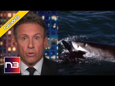 You are currently viewing Shark Week Would Beat Out CNN Shows In This Very Important Metric