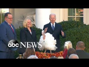 Read more about the article Biden pardons turkeys Peanut Butter and Jelly ahead of Thanksgiving | ABC NEWS