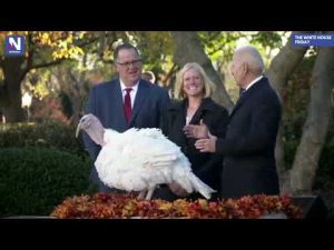 Read more about the article Biden pardons turkey pair in annual Thanksgiving tradition