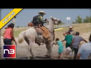 Read more about the article Border Patrol Horse Incident STILL Under Investigation: Senators Furious