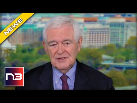 Read more about the article Newt Gingrich Just Explained Why Youngkin Will Win the Virginia Governor’s Race