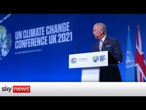 Read more about the article COP26: Prince Charles says ‘time has quite literally run out’