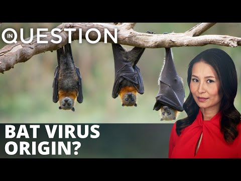 You are currently viewing Wuhan lab studied bats from Laos – US Gov’t Docs