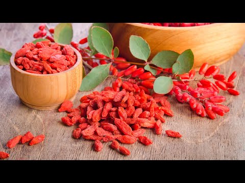 You are currently viewing Berberine: A Powerful Remedy for Diabetes, High Cholesterol and More