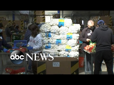 Read more about the article Food bank crisis