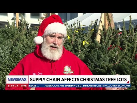 Read more about the article Supply chain woes crimp Christmas tree supply | National Report