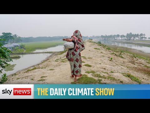 You are currently viewing The effect climate change has on the movement of refugees around the world