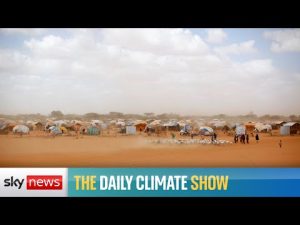 Read more about the article What can be done for climate displaced people?