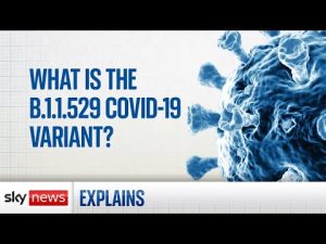 Read more about the article COVID-19: What is the new variant?